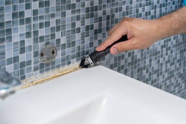 Best Mold Damage Repair  in Phillipsburg, NJ
