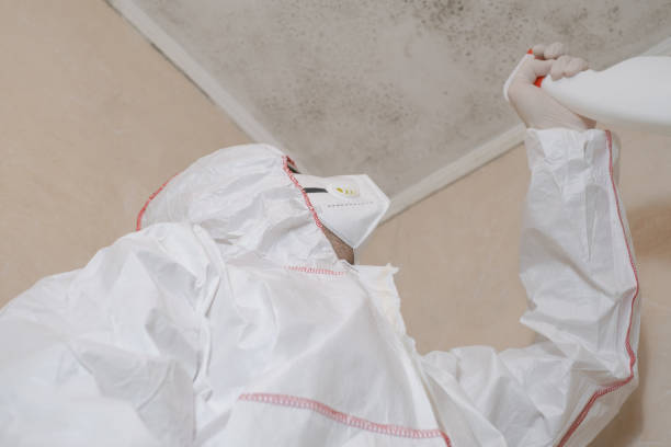 Best Crawl Space Mold Removal  in Phillipsburg, NJ