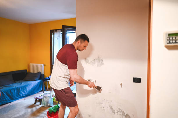 Best Residential Mold Removal  in Phillipsburg, NJ